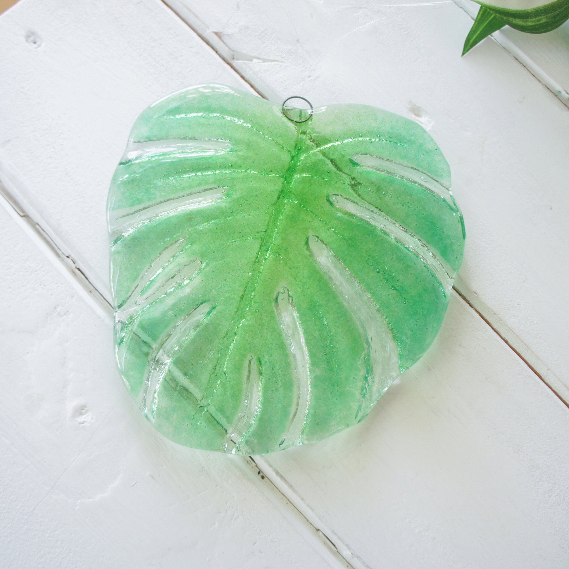 hanging ornament variegated monstera garden decor outdoor decor yard art glass Monstera Leaf Glass Sun catcher fused glass first home gift couples gift sea glass art green suncatcher botanical leaf print