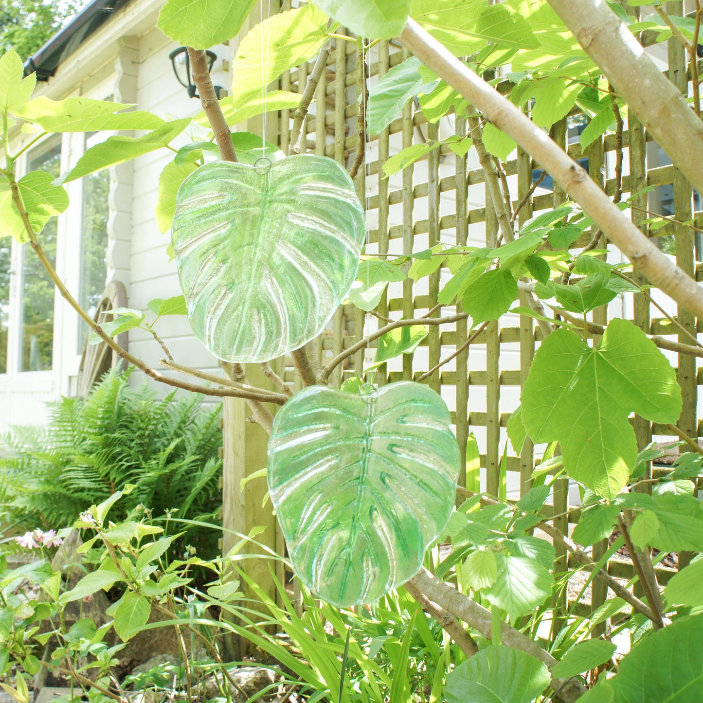 hanging ornament variegated monstera garden decor outdoor decor yard art glass Monstera Leaf Glass Sun catcher fused glass first home gift couples gift sea glass art green suncatcher botanical leaf print